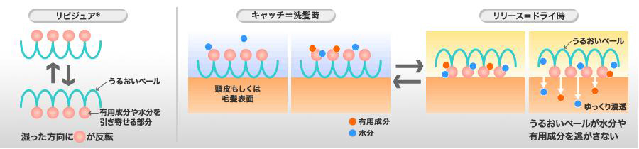 実力育毛スカルプローション＆シャンプーのセット使いで「効かせる土台」を作る